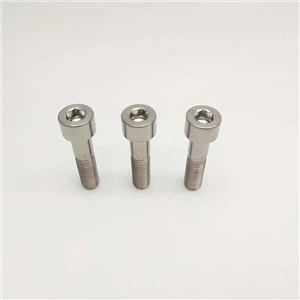 Titanium Parallel Socket Cap Head Bolt